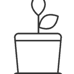 sprout_icon