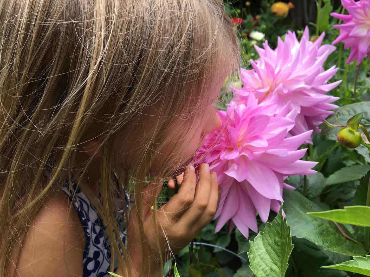 kid smelling flower