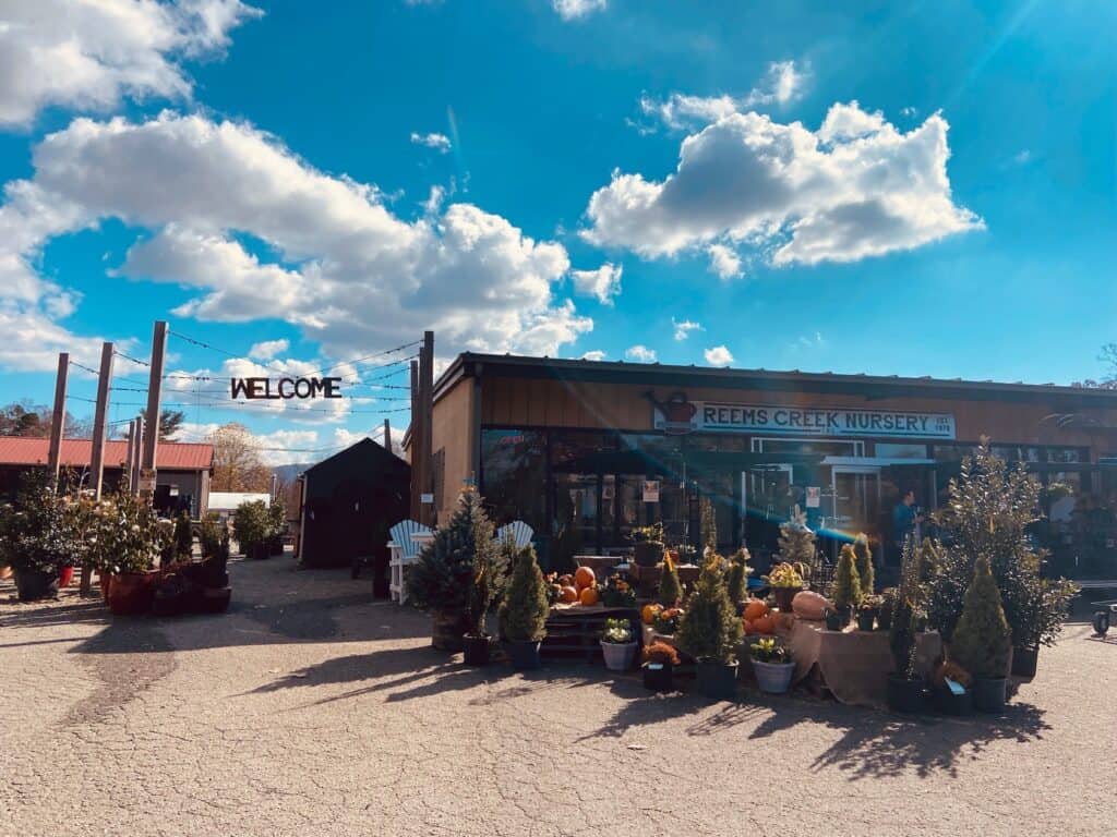 reems creek nursery - AshevilleGardener.com