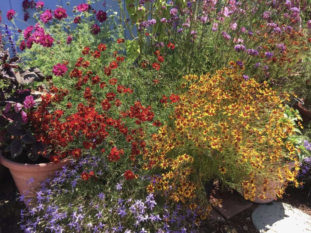 BB Barnes Garden Center - Asheville Gardener
