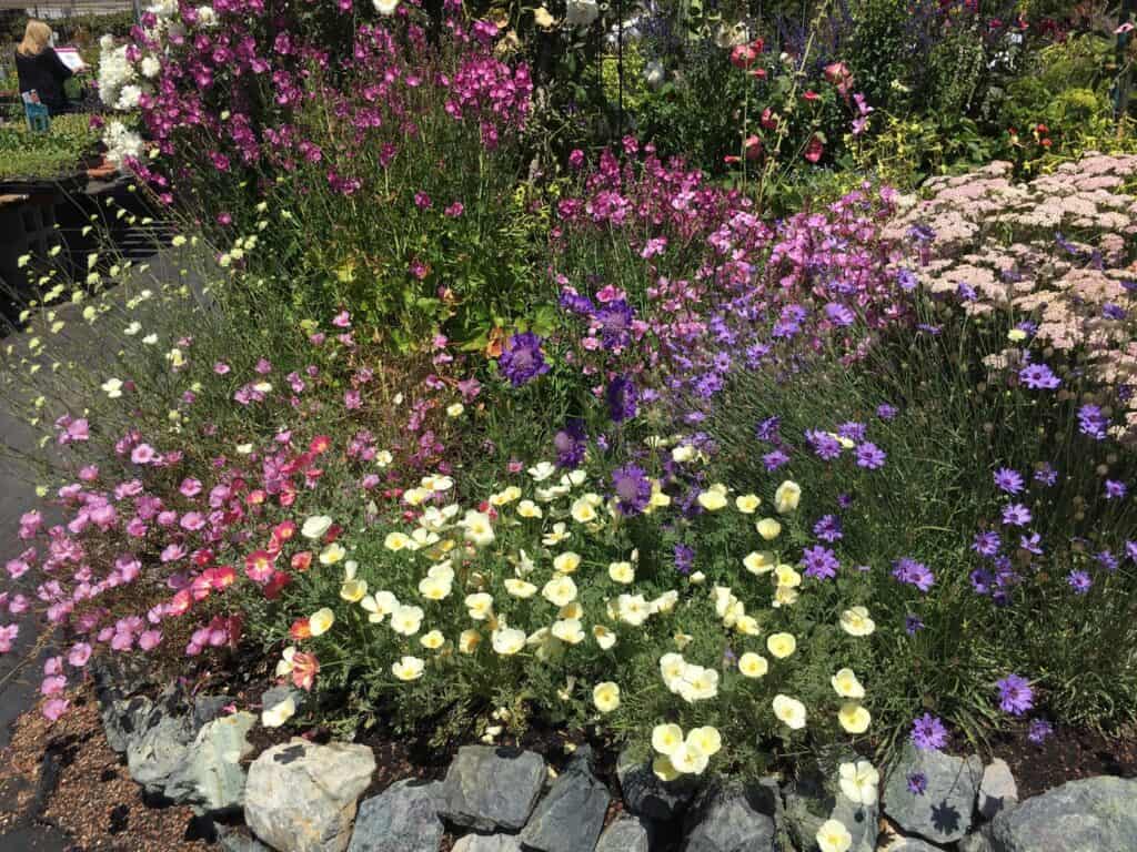 BB Barnes Garden Center - Asheville Gardener
