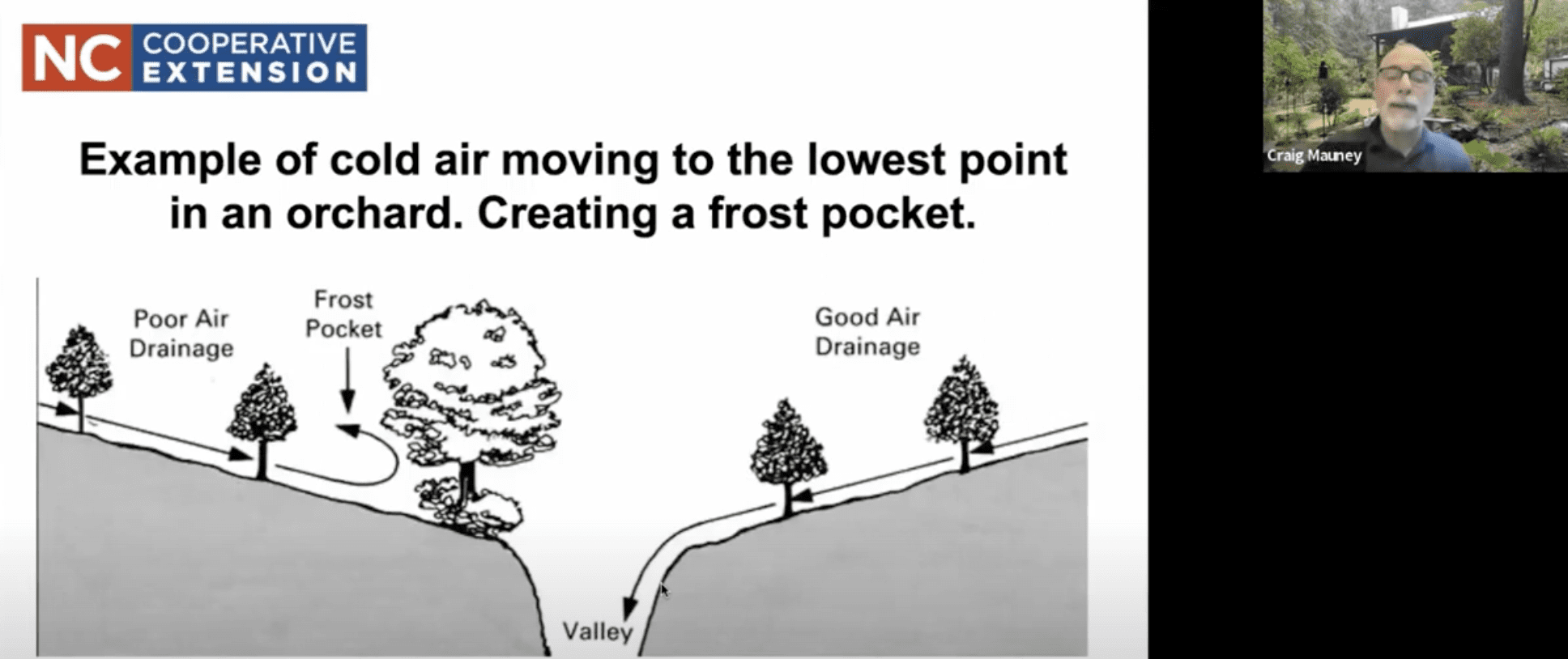 fruit-tree-placement-nc