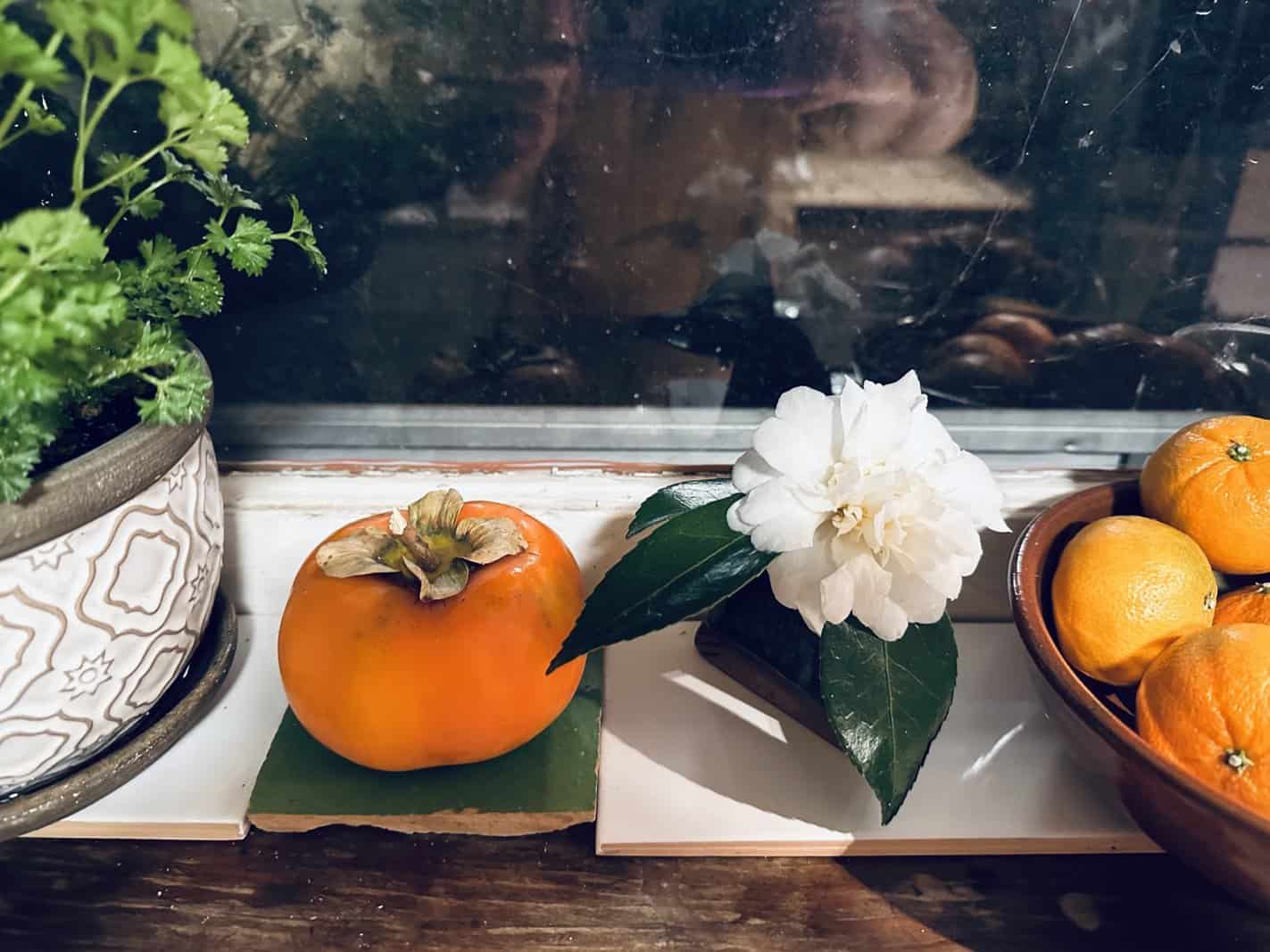 fuyu persimmon in the November kitchen - ashevillegardener NC